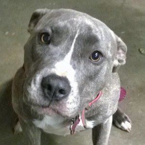 Meet your Posher, Etta